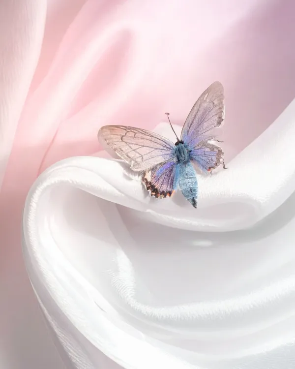 Lovara élménycoaching pillangó