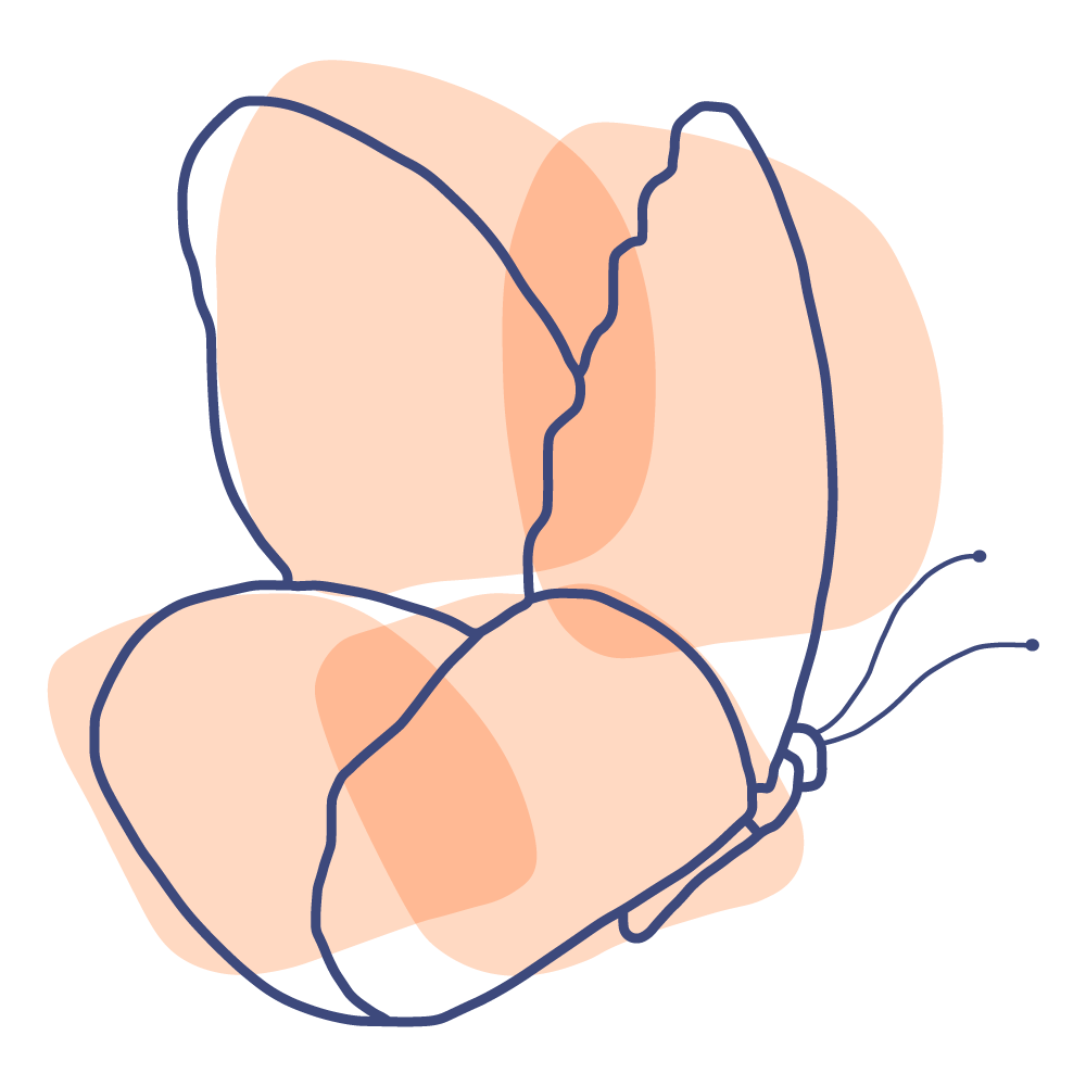 Lovara megérkezés pillangó